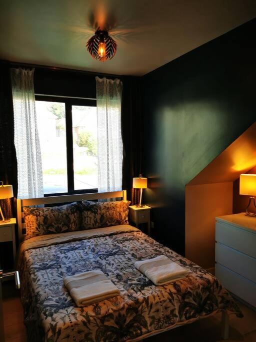 Luxury And South Downs National Park, Free Parking, Animals On Request Daily Fee Hove